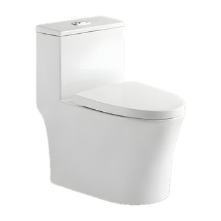 SANIKB NBK-3072 p trap toilet