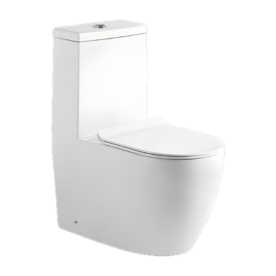 SANIKB NBK-3073 s trap toilet
