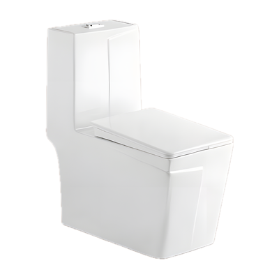 SANIKB NBK-3075 27 inch one piece toilet
