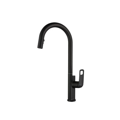 Matte black pull-down kitchen faucet, brass body, high-arc gooseneck with looped lever — SANIKB FYF-05017.
