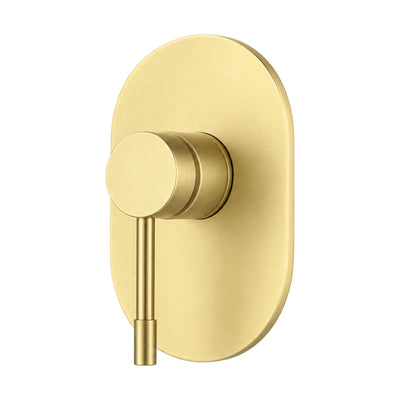 Brushed gold pill-shaped oval shower valve trim with pin lever, shown with round rough-in body — SANIKB SP1010B 21 43 2