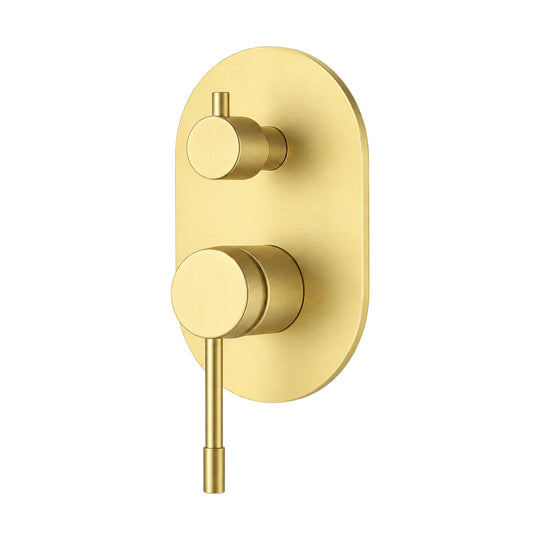 Brushed gold oval shower valve trim with diverter knob above pin lever, shown with rough-in body — SANIKB SP1010B 22 43 2