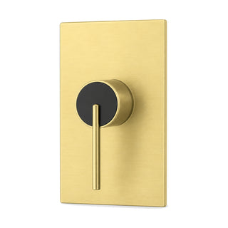 Brushed gold rectangular shower valve trim with pin lever on black-faced round hub, with rough-in body — SANIKB SP1016 21 43 1