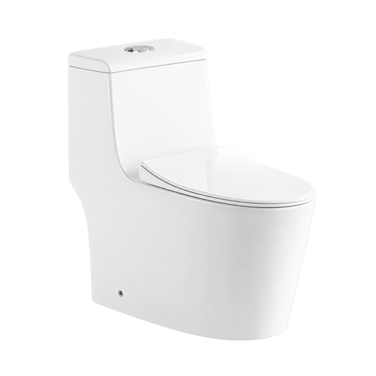 SANIKB TC-58138H swirl flush one piece toilet 10 inch rough in