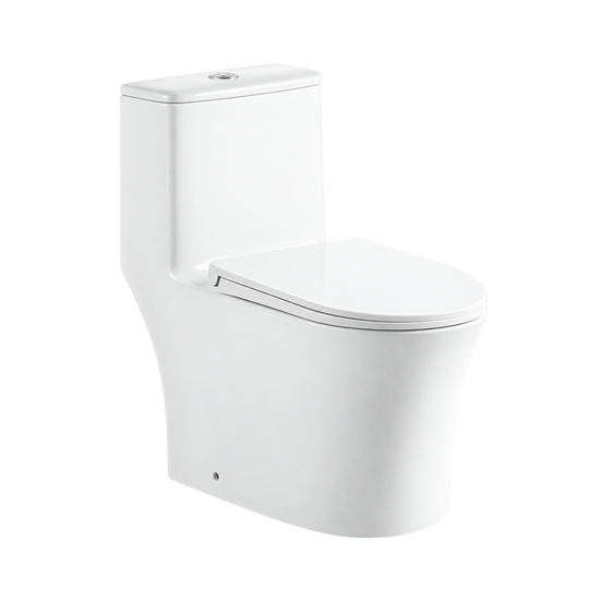 SANIKB TC-58182H rimless one piece toilet 10 inch rough in