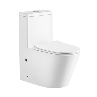 SANIKB TC-7112 26 inch one piece toilet 180mm p trap