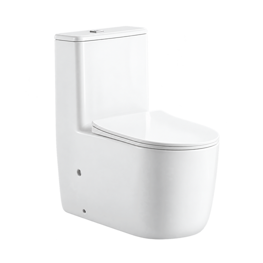 SANIKB TC-7116 25 inch one piece toilet 180mm p trap