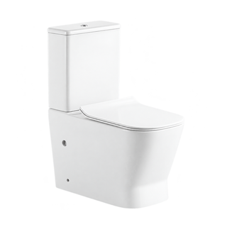 SANIKB TC-7309 25 inch two piece toilet 180mm p trap